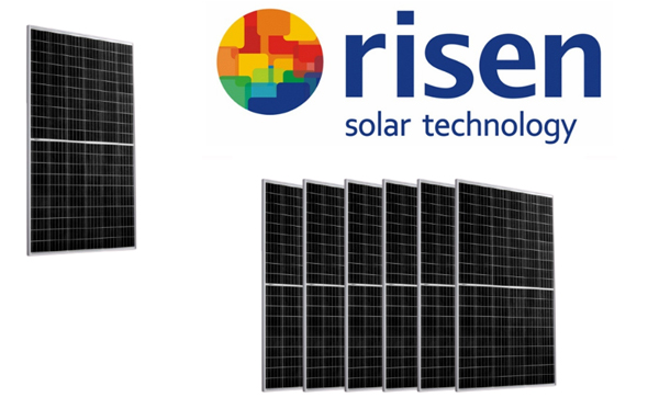 risen solar panels